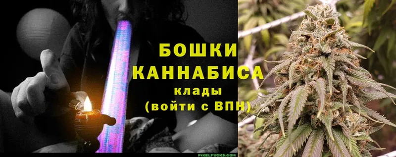 Бошки Шишки планчик  blacksprut вход  Макаров 